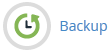 backup icon
